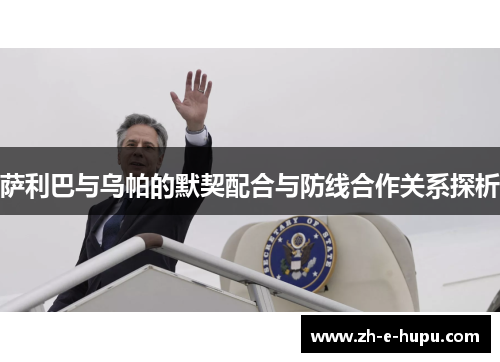 萨利巴与乌帕的默契配合与防线合作关系探析