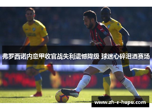 弗罗西诺内意甲收官战失利遗憾降级 球迷心碎泪洒赛场