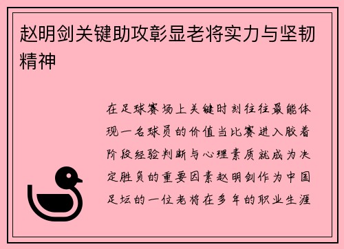 赵明剑关键助攻彰显老将实力与坚韧精神